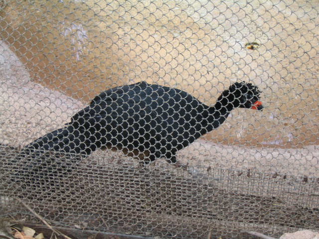 618x457 pixels (268K)